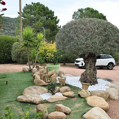 Lili Rose - Jacuzzi Et Riviere A 3 Min A Pieds * Zonza